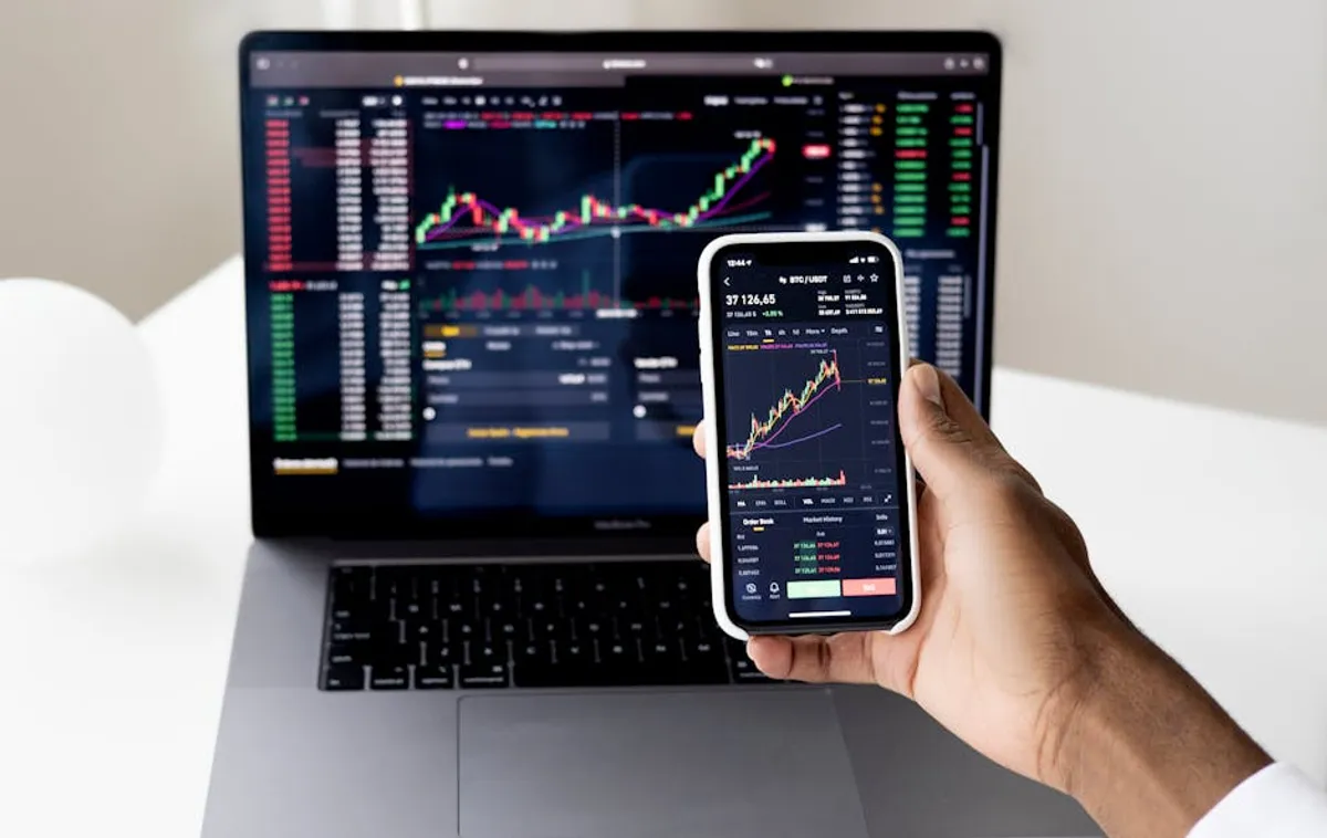 Tribuneonlineng Review: What It Is, Features, Safety, and Alternatives